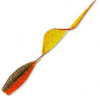 PONTOON 21 JILT 2.0 #404 (5.08cm, 8gb)