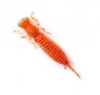 LARVA 2.5 #023 (6.5, 7pcs)