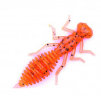 BEETLE 1.5 #02 (3.81cm, 12pcs)