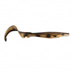 Pig Tail Junior 23cm #115 ( 37g, 1pcs)